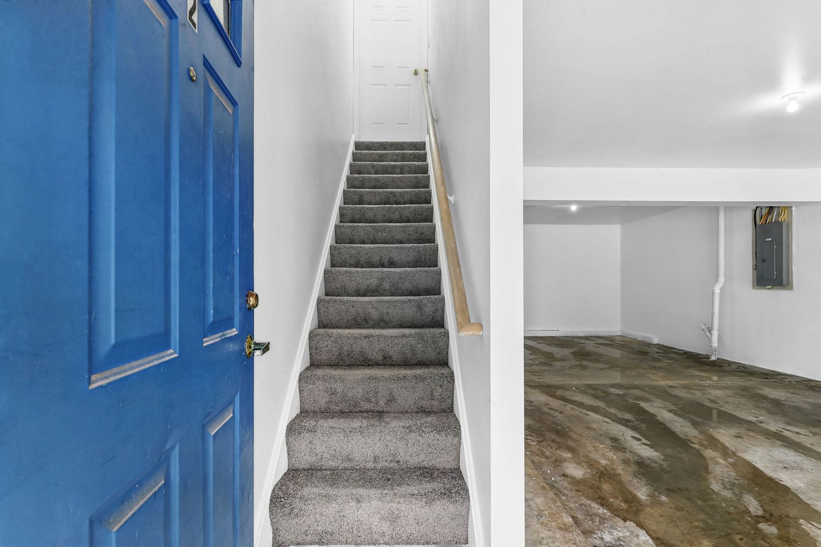 Blue front door opening onto a carpeted staircase